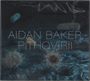 Aidan Baker: Pithovirii, CD