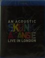 Skunk Anansie: An Acoustic Skunk Anansie: Live In London 2013, BR