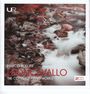 Ruggero Leoncavallo: Sämtliche Klavierwerke, CD,CD