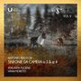 Antonio Brioschi: 6 Sinfonias, CD