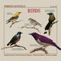 Tommaso Iacoviello: Birds, CD
