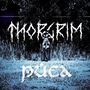 "THORGRIM" und "PÚCA" in stilisierter Schrift, darunter steht eine Gestalt vor einem Wald. Alles in blau-schwarzer Tönung.