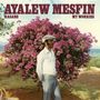 Ayalew Mesfin: Hasabe - My Worries, LP