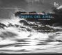 Eduardo Costa Roldan: Kammermusik für Flöte & Klavier "Perfil Del Aire", CD