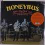Honeybus: Under The Silent Tree: Gentle Sounds With Strings At The BBC 1967-1973, LP,LP