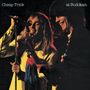 Cheap Trick: At Budokan (180g), LP