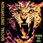 Social Distortion: Born To Kill, CD