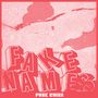 Der Text „FAKE NAMES“ groß, „PUNK RUINS“ klein. Illustration mit gepunkteten Mustern in Rot und Weiß.