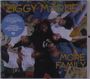Ziggy Marley: More Family Time, CD
