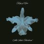 Kings Of Leon: Aha Shake Heartbreak (180g), LP