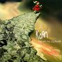 Korn: Follow The Leader (180g), LP