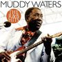 Muddy Waters: R & B Hits, LP