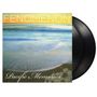 "FENOMENON" oben, "Pacific Memories" und "The Early Tapes" unten, Wellen am Strand, blumiges Design.