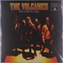 "The Volcanics", "Too Late To Run". Eine Gruppe von Menschen steht im Kreis, in warmem, orangefarbenem Licht.