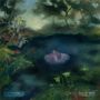 Texte: "SUBTERRANEAN STREET SOCIETY", "OUT OF SKIN INTO BLOOM". Illustration: Gesicht unter Wasser in bewaldeter Landschaft.