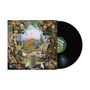 The Expert: Vivid Visions, LP