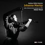 Johannes Brahms: Violinkonzert op.77 (180g), LP