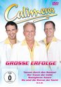 Calimeros: Große Erfolge, DVD