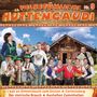 : Volkstümliche Hüttengaudi Nr.9, CD,CD