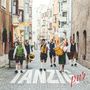 "TANZL" in großen weißen Buchstaben auf dem Kopfsteinpflaster, daneben in Rot "pur". Eine Volksmusikgruppe in Tracht.