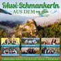 Diverse Interpreten: Musi-Schmankerln aus dem Murtal/Steiermark, CD