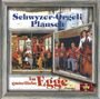 Schwyzerörgeli Duo...: Schwyzer-Örgeli Plausch, CD