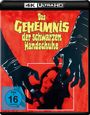Dario Argento: Das Geheimnis der schwarzen Handschuhe (Ultra HD Blu-ray), UHD