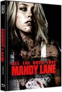 Jonathan Levine: All the Boys love Mandy Lane (Blu-ray & DVD im Mediabook), BR,DVD