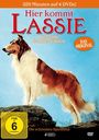 William Beaudine: Hier kommt Lassie (4 Filme), DVD,DVD,DVD,DVD