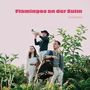 Gschreams: Flamingos an der Sulm, CD