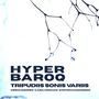 "HYPER BAROQ TRIPUDIIS SONIS VARIIS", darunter Künstlernamen. Feine Äste mit Wassertropfen auf weißem Hintergrund.