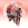 Future Static: Liminality, CD