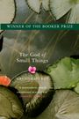 Arundhati Roy: The God of Small Things, Buch