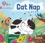 Inbali Iserles: Cat Nap, Buch