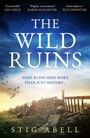 "The Wild Ruins" von Stig Abell. Ruinen in Landschaft bei Sonnenuntergang, Vögel fliegen im Himmel.