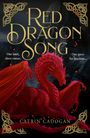 Titel: "Red Dragon Song". Darunter: "One land, three curses. One quest for freedom...". Roter Drache vor düsterem Hintergrund.