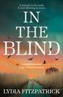 Lydia Fitzpatrick: In Blind Hb, Buch
