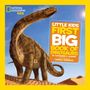 “Little Kids First Big Book of Dinosaurs” mit großem Dinosaurier, hellem Himmel, gelbem Rahmen. Logo oben links.