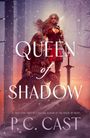 „Queen of Shadow“ von P.C. Cast. Kämpferin mit Schwert, stehende Pose. Schneebedeckte Bäume im Hintergrund.