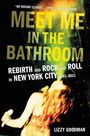 Lizzy Goodman: Meet Me in the Bathroom, Buch