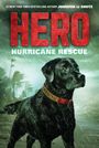 Jennifer Li Shotz: Hero, Buch