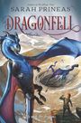 Sarah Prineas: Dragonfell, Buch
