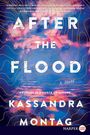 Kassandra Montag: After the Flood LP, Buch