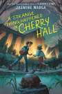 Jasmine Warga: A Strange Thing Happened in Cherry Hall, Buch