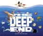 Drew Sheneman: The Deep End, Buch