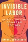 Rachel Somerstein: Invisible Labor, Buch