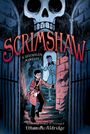 Ethan M Aldridge: Scrimshaw: A Deephaven Mystery, Buch