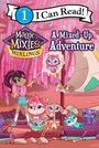 Mickey Domenici: Magic Mixies: A Mixed-Up Adventure, Buch