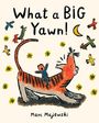 Marc Majewski: What a Big Yawn!, Buch