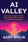 Gary Rivlin: AI Valley, Buch